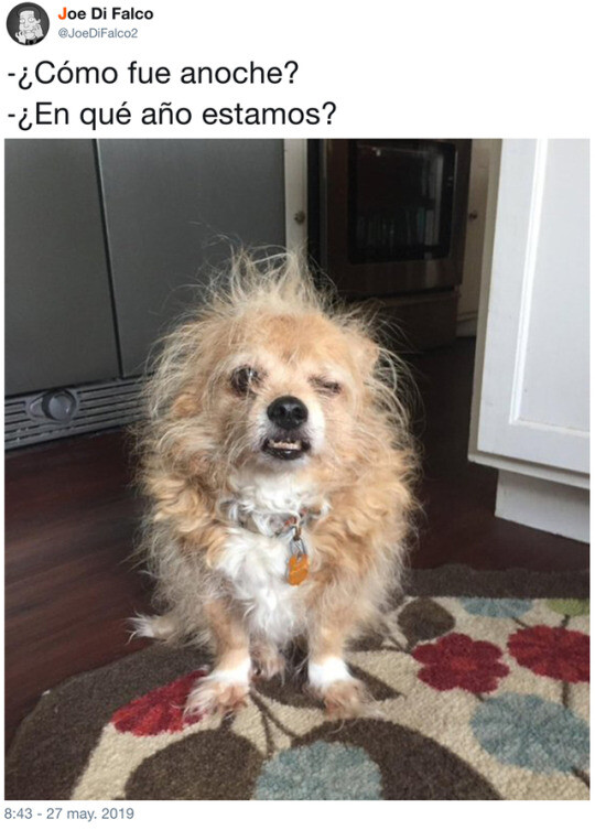 Meme_otros - Las post juergas ya no son lo que eran