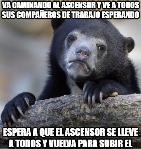 Oso_confesiones - va caminando al ascensor