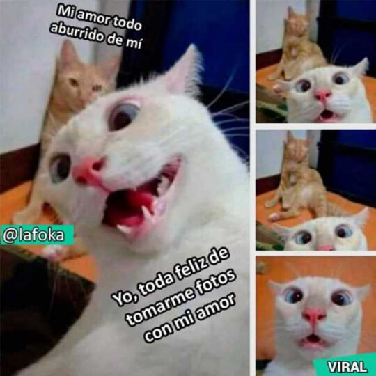 Meme_otros - El amor y el postureo a veces van de la mano