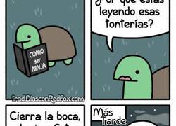 Enlace a Como ser ninja