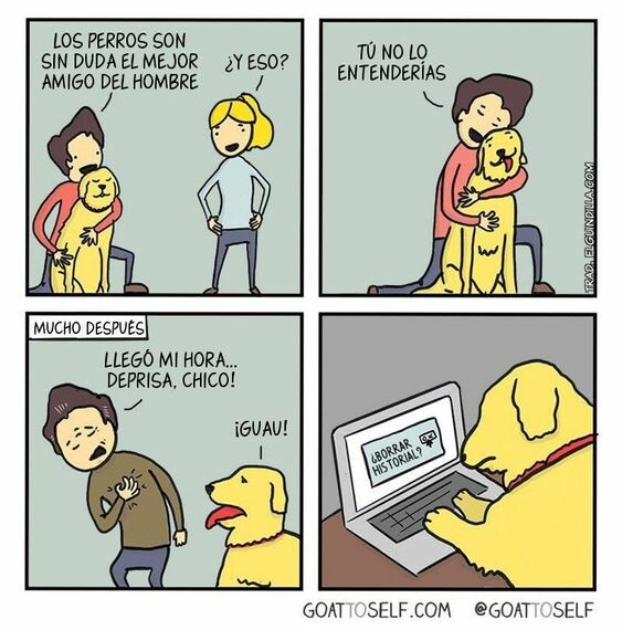 Otros - El mejor amigo del hombre, en muchos sentidos