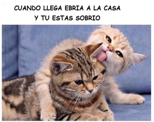 Meme_otros - Sobrio vs ebrio