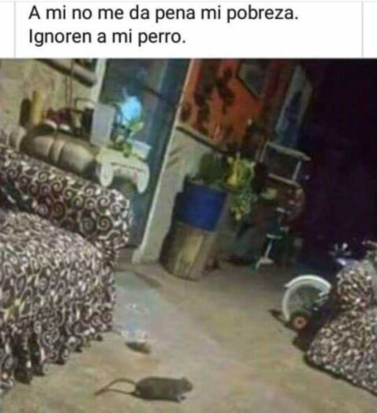 Meme_otros - Pobre, pero en compañía