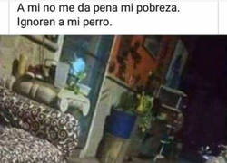 Enlace a Pobre, pero en compañía