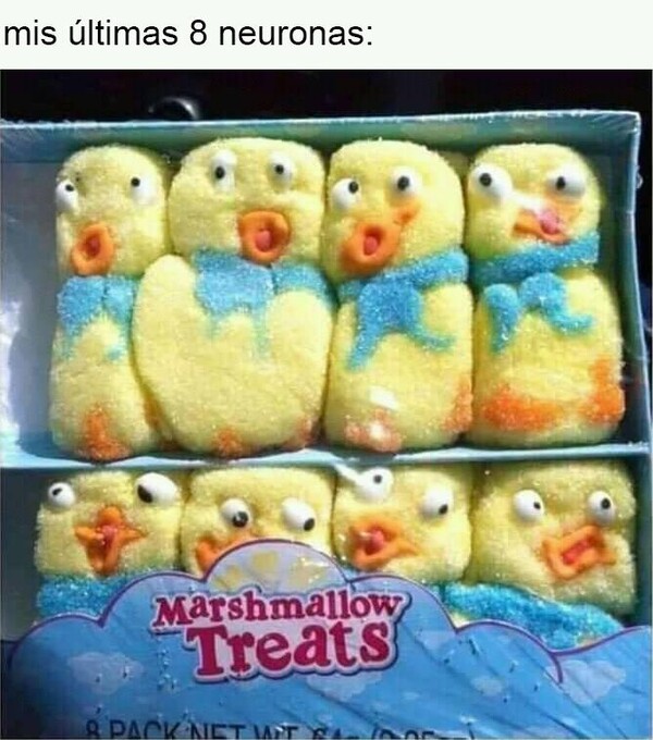 Meme_otros - Luchando por respirar y seguir vivas