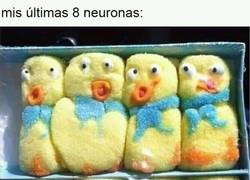 Enlace a Luchando por respirar y seguir vivas