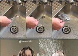 Enlace a Es terrible como salpica