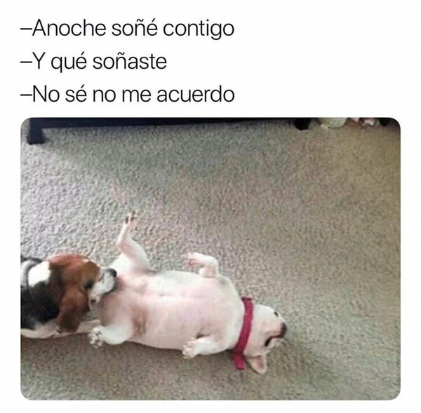 Meme_otros - Un sueño muy caliente