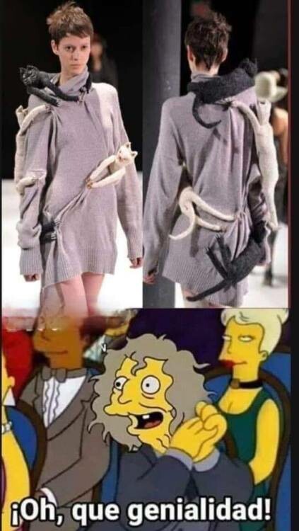Meme_otros - Un vestido que le va que ni pintao