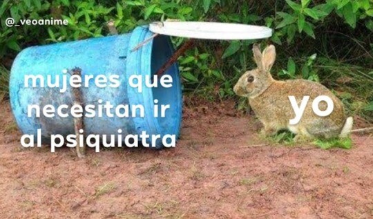 Meme_otros - El ser humano es el unico animal que tropieza dos veces con la misma piedra