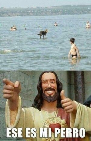 Otros - El perro de cristo