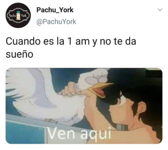 Meme_otros - La solución rápida