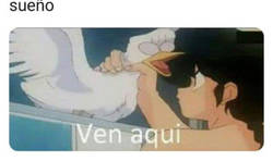 Enlace a La solución rápida