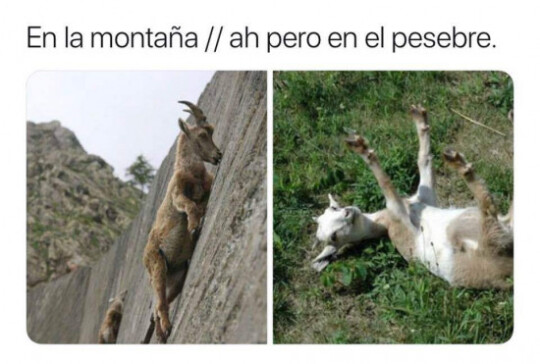 Meme_otros - Son ágiles para lo que quieren