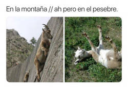 Enlace a Son ágiles para lo que quieren