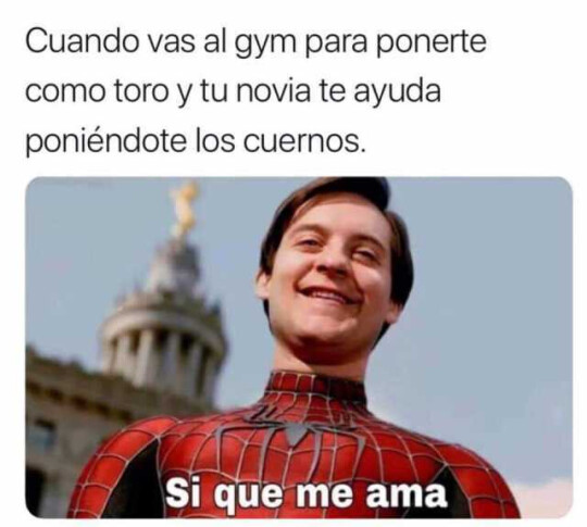 Meme_otros - El toro de wall street