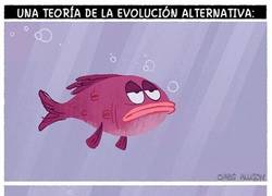 Enlace a ¿Nos hemos planteado la posibilidad?