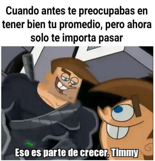 examenes,cursos,grados,notas,sobrevivir,esfuerzo,objetivos