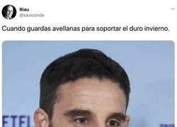 Enlace a Ardillita Rovira