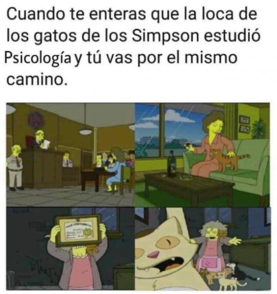 Meme_otros - Eso explica muchas cosas sobre mi futuro