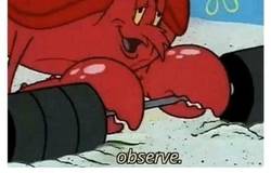 Enlace a Aborto post parto