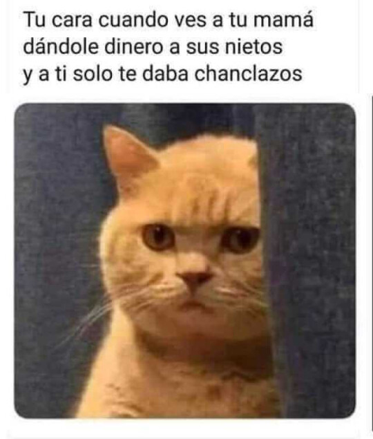Meme_otros - ¿A ellos si, madre? Qué descarada