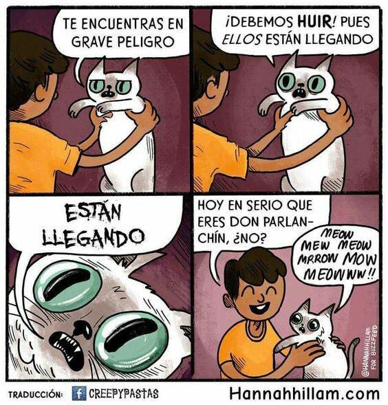 Otros - Miau miau miau muerte miau