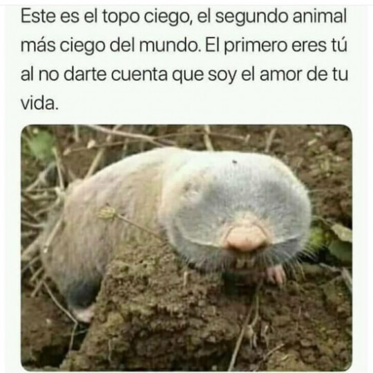 Meme_otros - A ver si así te enteras