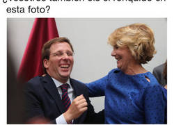 Enlace a Oink oink oink