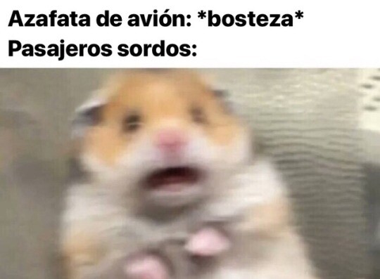 panico,bostezo,sordos,azafata