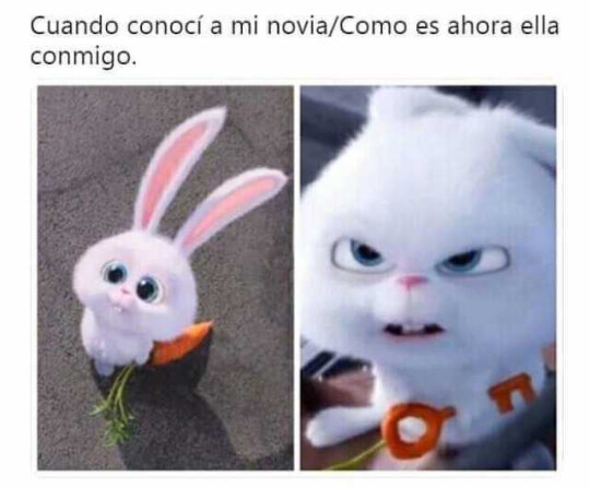 Meme_otros - La confianza da asco