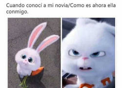 Enlace a La confianza da asco