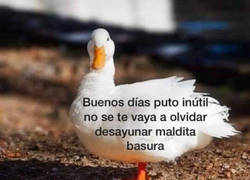 Enlace a Que te alimentes bien imbecil