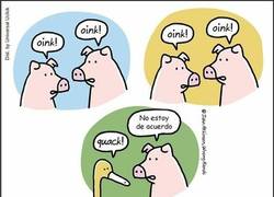 Enlace a ¿Oink?