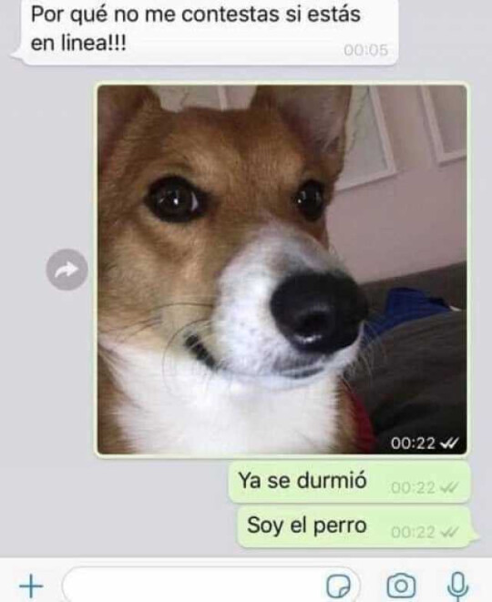 Meme_otros - ¿Necesita que le de cita para otro día?