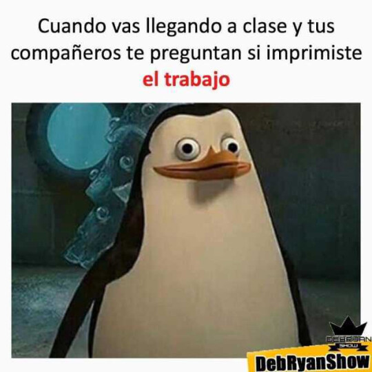 Meme_otros - ¿Lo qué?