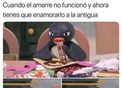 Enlace a Me dijeron que con cuerdas bastaba