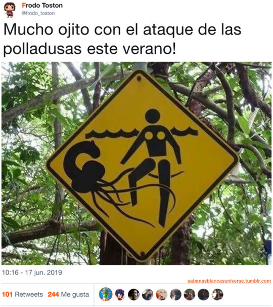 Meme_otros - ¿Qué clase de medusa es esa?