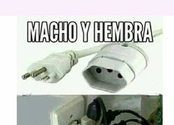 Enlace a Eso puede acabar en una orgía incendiaria