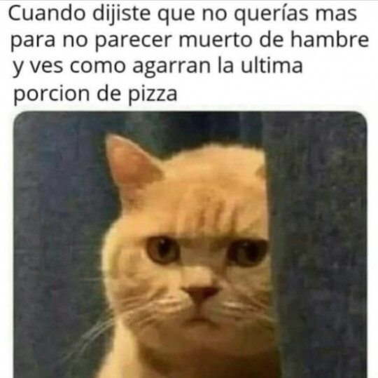 Meme_otros - Si es que de bueno a veces se es tonto