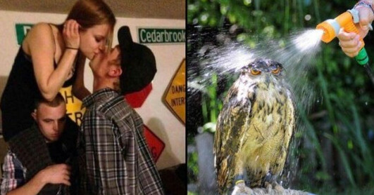 Meme_otros - Hay friendzones buenas y otras malas