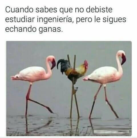 Meme_otros - En esta vida hay que ser tenáz