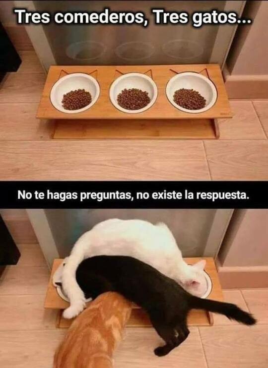 Meme_otros - Hay cosas que es mejor no preguntar