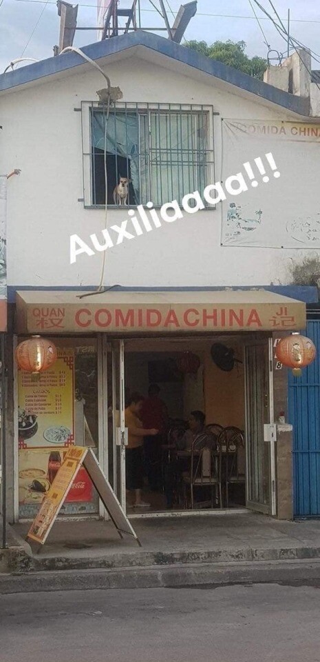Meme_otros - Aiiuuuuda, soy el siguiente
