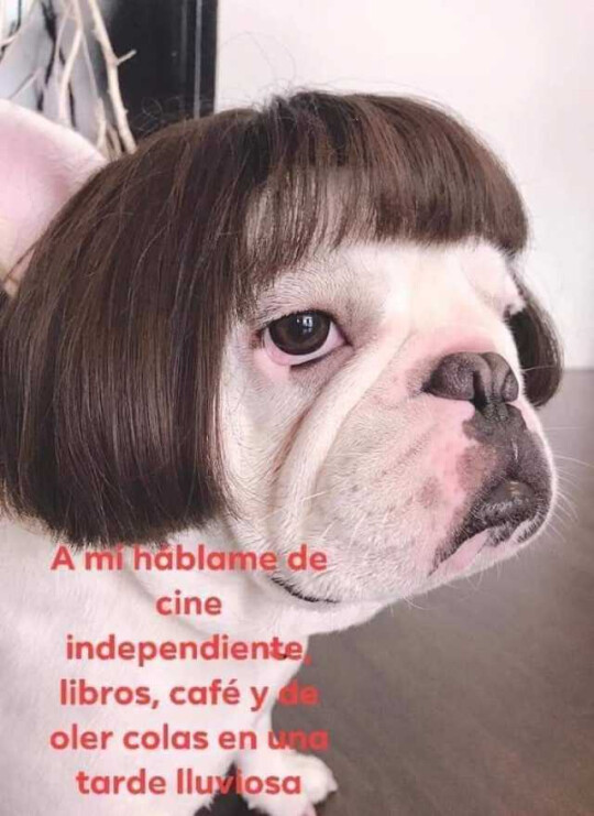 Meme_otros - Gente básica no, gracias