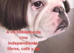 Enlace a Gente básica no, gracias