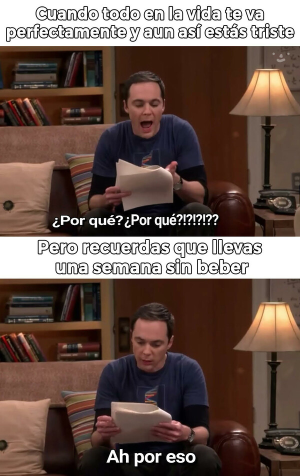 Meme_otros - básicamente mi vida