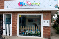 Enlace a ¿La tienda? Spa tu perro