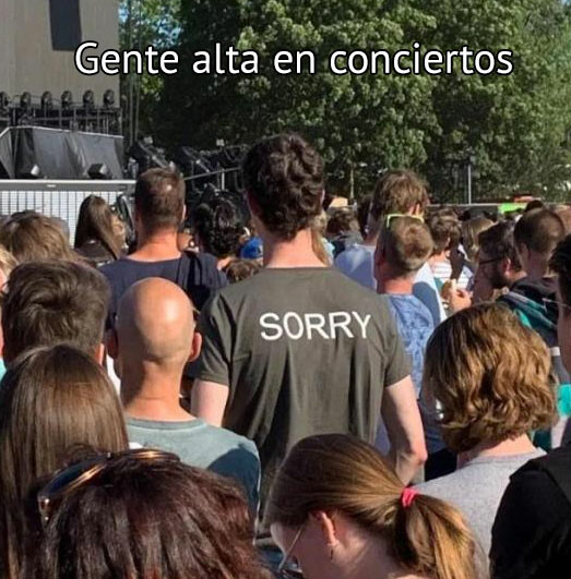 Meme_otros - La cruz de ser alto y querer disfrutar de cosas públicas
