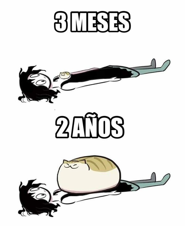 Otros - Real como la vida misma